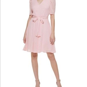 Swiss Dot Fit & Flare Dress